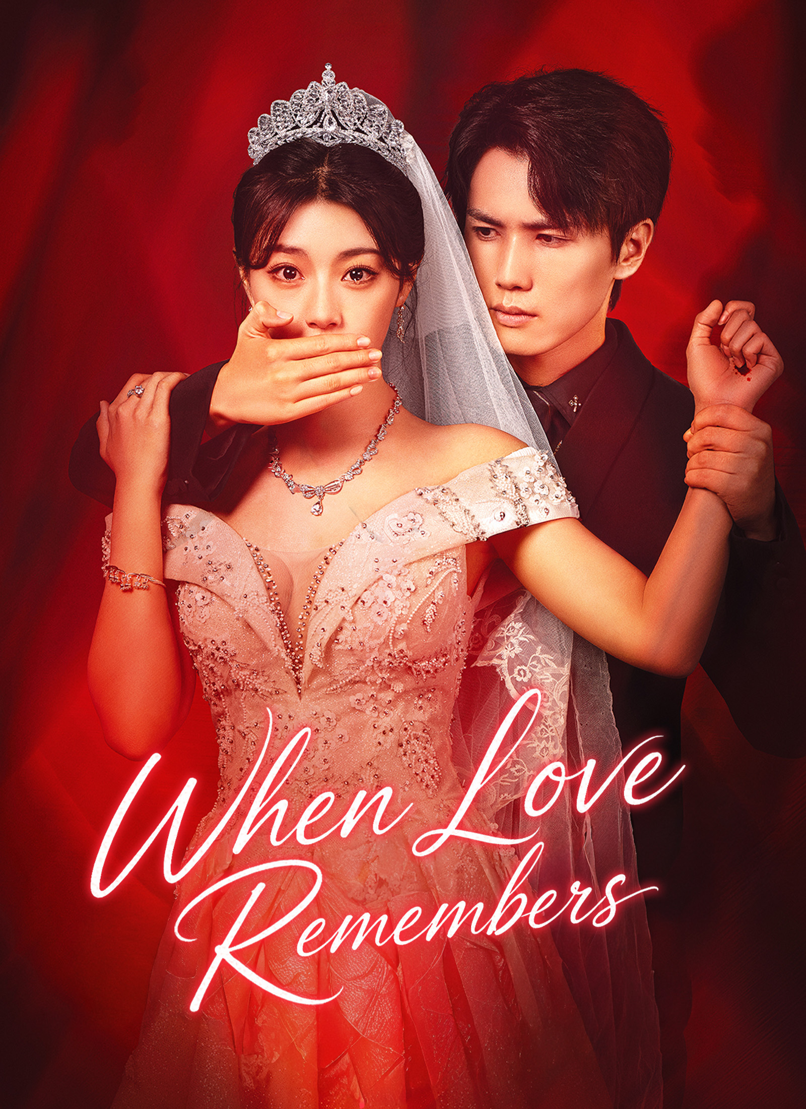 Chinese Drama [Dubbed]When Love Remembers with subtitles - poster